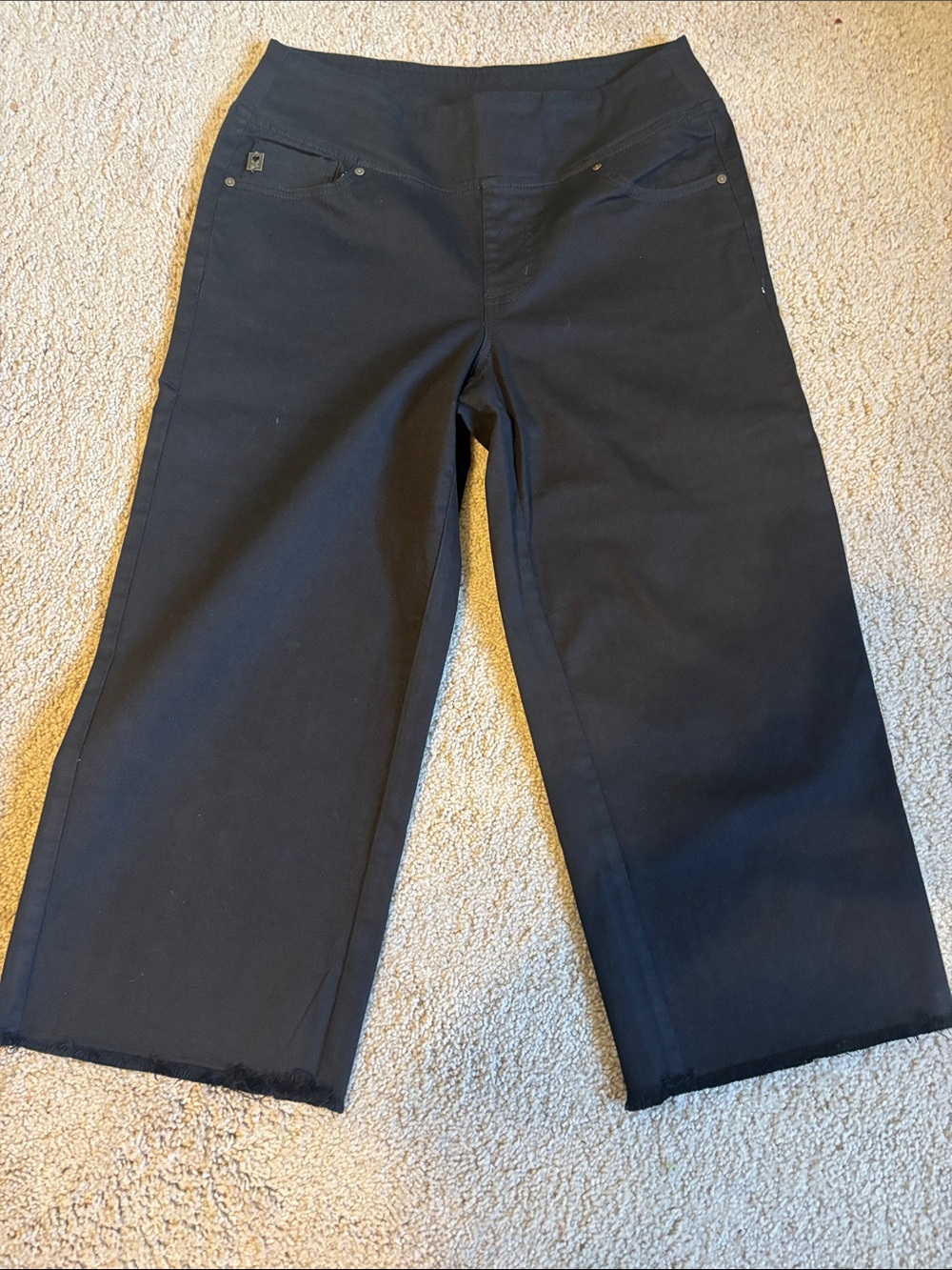 Belle by Kim Gravel Black wide leg pull on capri pants.  Size 10P